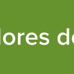 Cheiradores de tulipa