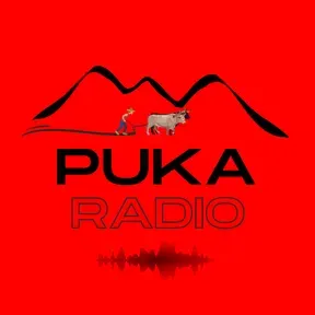 Puka - Radio