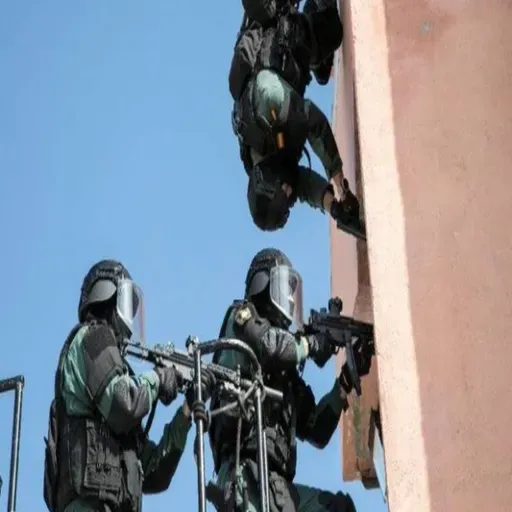 Filtración de Datos_ Fuerzas de Seguridad Españolas