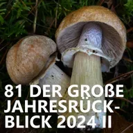 #81 Der große Jahresrückblick 2024 Teil 2