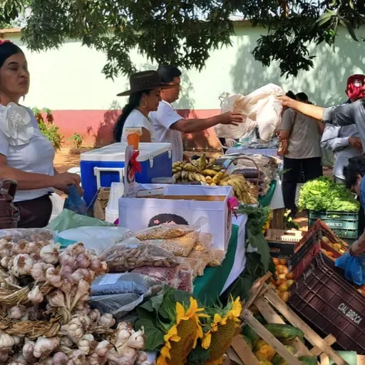 Fiesta de la Semilla en Concepción