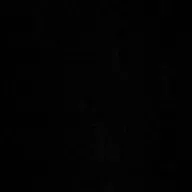 Meine Vorfahren, Tante Minna, Pilsen - Plzeň