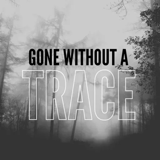 The Disappearance of Charlotte Jessica Miller