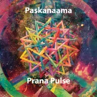 Paskanaama - Prana Pulse @ Excl for ChillOutPlanet.Ru