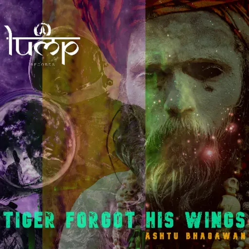 Tiger Forgot His Wings - Ashtu Bhagawan [Lump Records]