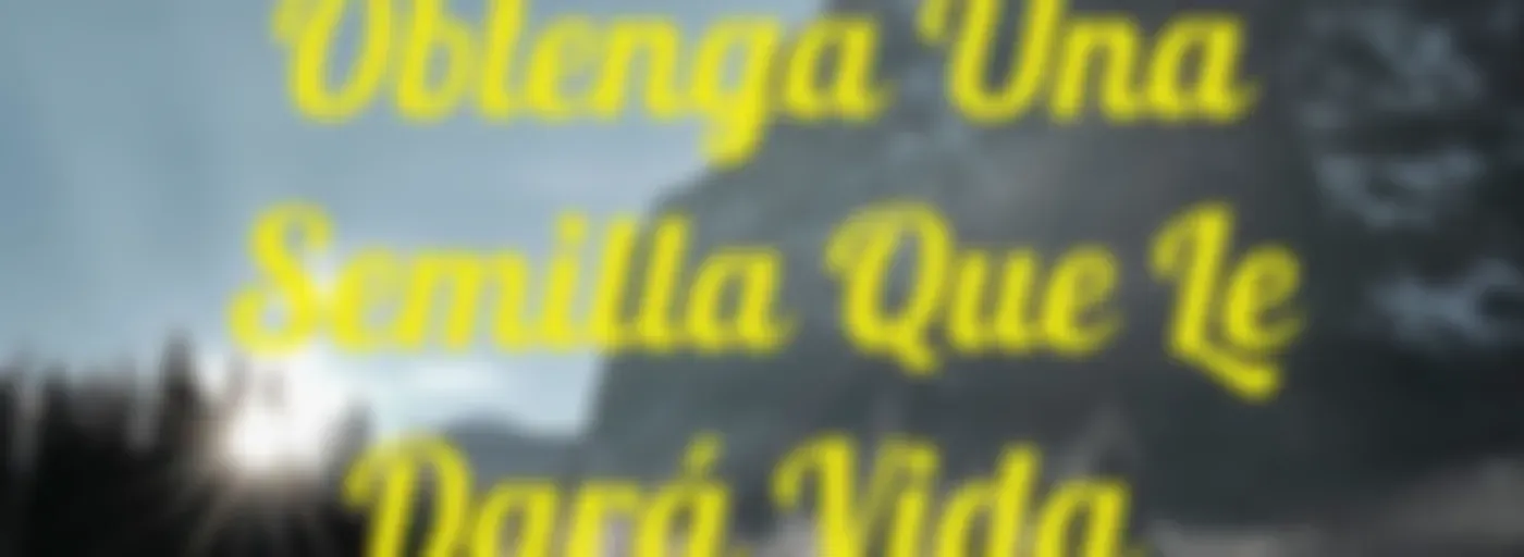 Obtenga Una Semilla Que Le Dará Vida