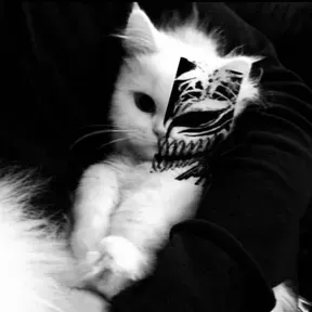 possesive
