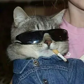 Bellakotes
