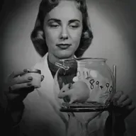 Product testing on animals by Marta Costa