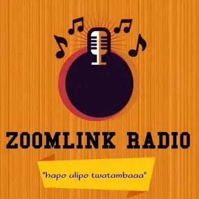 ZOOMLINK RADIO