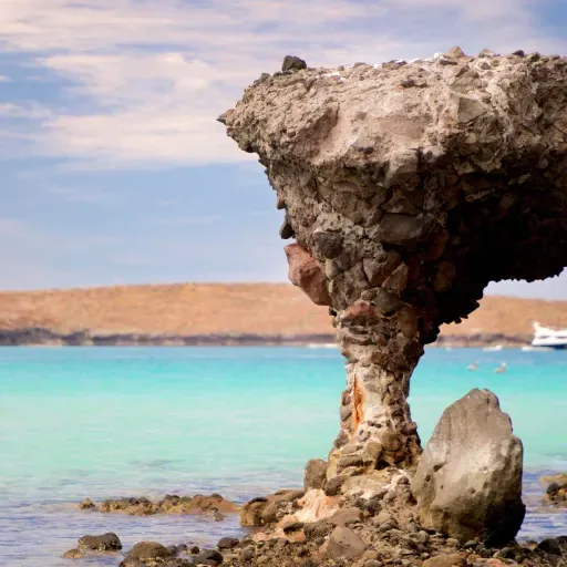 ¿Sabias que... 2025-02-25 13:05