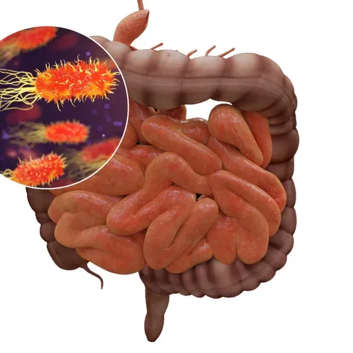 Es Salud: Flora intestinal