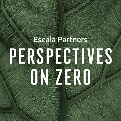 Perspectives on Zero: Episode 8 Recent Progress on Net Zero and A.I. Considerations for Responsible Investing