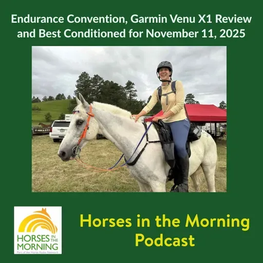 Endurance Convention, Garmin Venu X1 Review and Best Conditioned for November 11, 2025