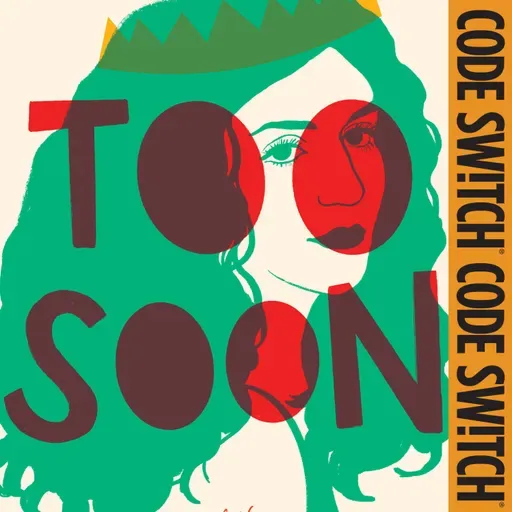 This Palestinian-American's debut novel may not be political — but her existence is