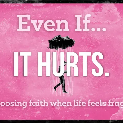 How To Handle Our Hurts