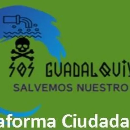 #negritasubrayadocursiva "Betis 0 - Vertidos 2 (Ida)" 8 de abril de 2025