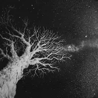 Betelgeize ‒ November Podcast, 2025