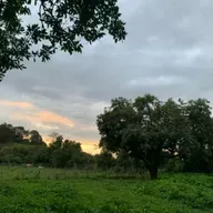 Así vivo la Meditación Vipassana