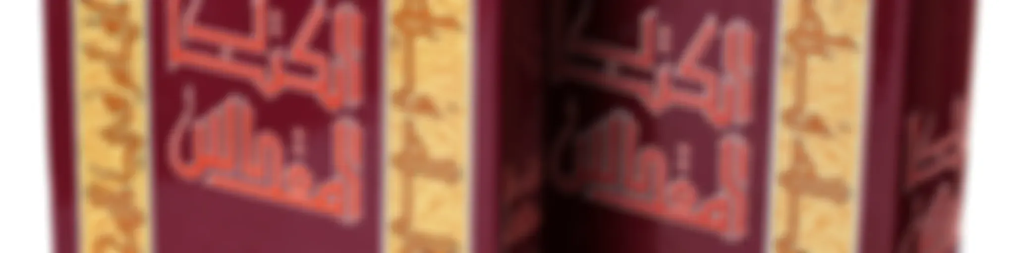 Weekly Journey with the Bible in Arabic/English on Fridays