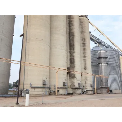 Ear to the Ground 389: See Something, Say Something