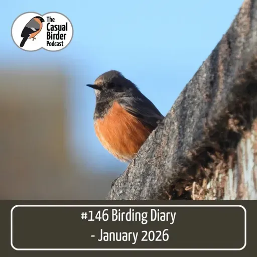 146 Birding Diary - January 2026