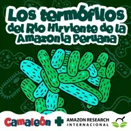 Termófilos: los microbios que aman el calor