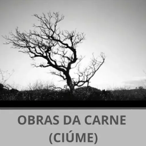 #593 Ciúme, inveja e imitação.