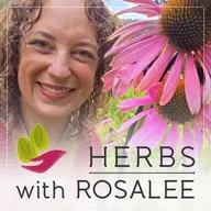Violet: A Backyard Herb for Swollen Lymph Nodes and a Frazzled Nervous System with Lindsey Feldpausch