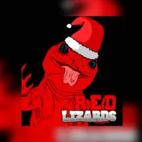DJlizard