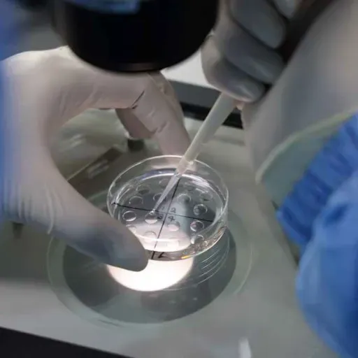 Matt Ridley on Chinese biolabs in America, Covid & the reality of biowarfare