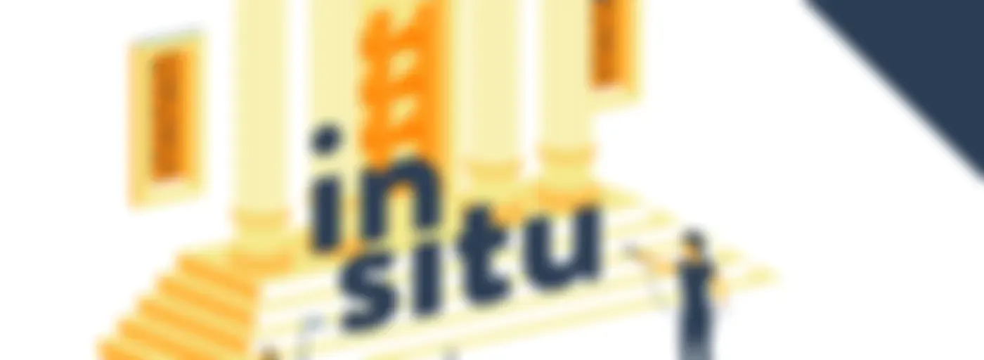 In Situ