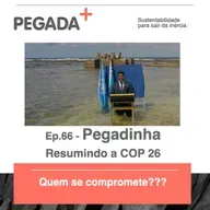 Ep.66 - Pegadinha - Resumindo a COP 26