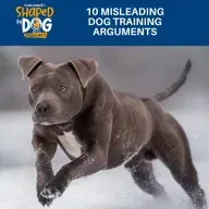 10 Misleading Dog Training Arguments #319
