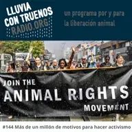 #144 Más de un millón de motivos para hacer activismo