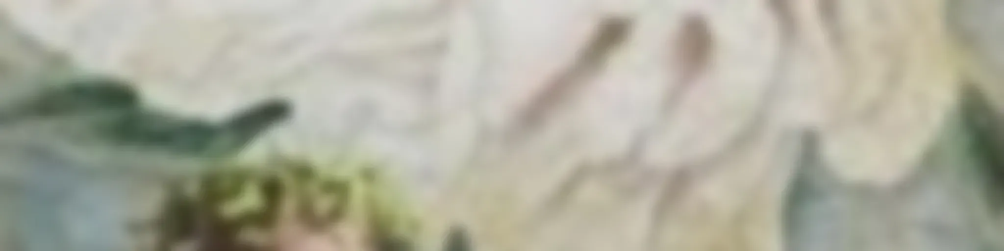 Maria Madalena e Jesus