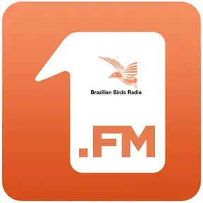 1.FM - Brazilian Birds Live