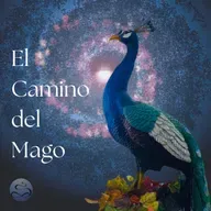 Final de la quinta temporada: Navegando el cosmos y los planos astrales / Ep. 152