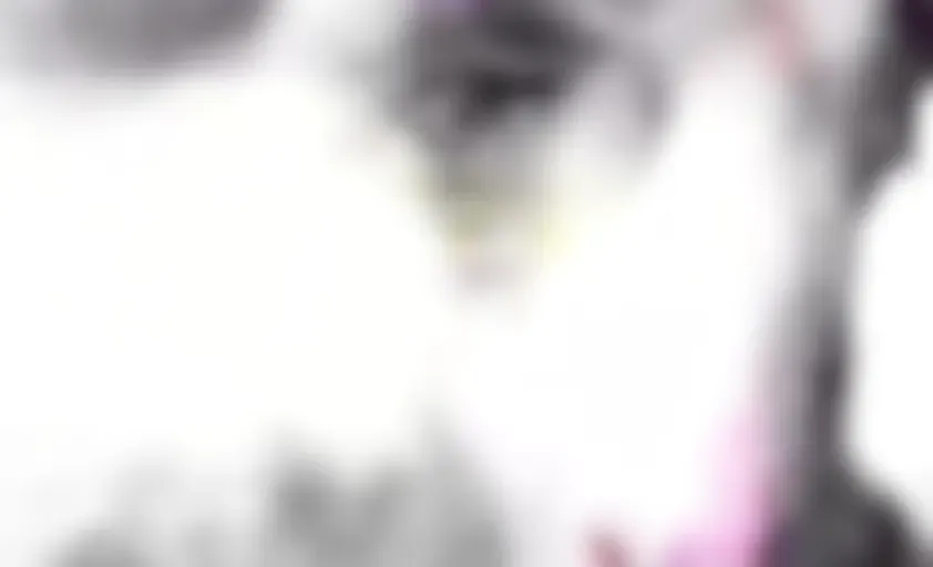 - Ach0z3n - Mr Mischief -  Anxi0us Ape -