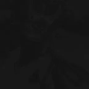 Ganga remix
