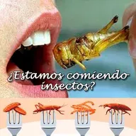 "Siete Luces, para un cambio de conciencia // Secretos de la comida procesada y su peligro"(T11-P30)