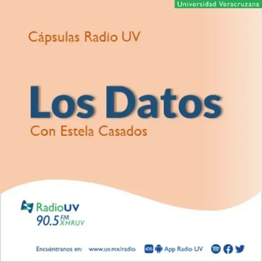 Los Datos (con Estela Casados) - 26 de febrero