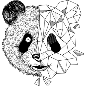 vini22