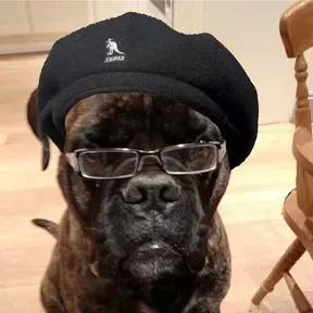 VibeRP Julia Velasques Music