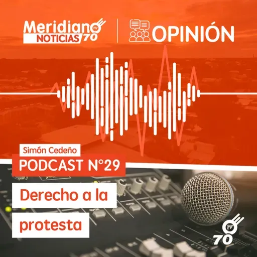 Podcast N° 29 Simón Cedeño: Derecho a la protesta