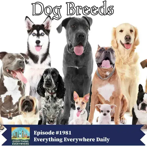 All About Dog Breeds