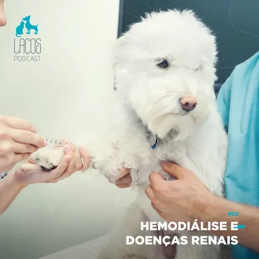 #52: Hemodiálise e Doenças Renais