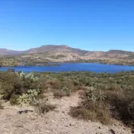 "la riqueza de nuestras comunidades 