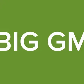 BIG GM