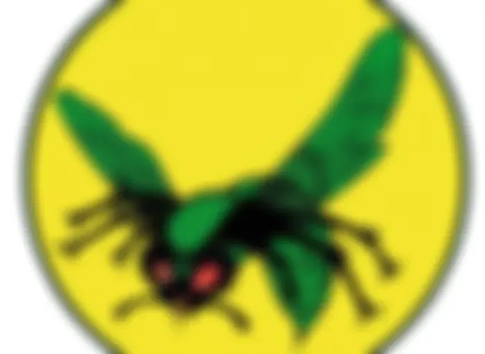 El avispón